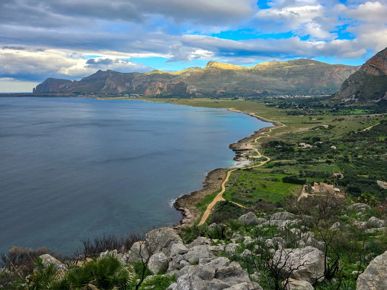 Fresh olives and olive oil — authentic Sicilian cuisine
